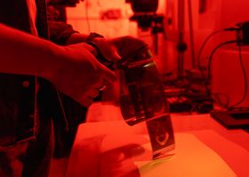 Notes from the Darkroom